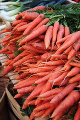 Etale de carottes
