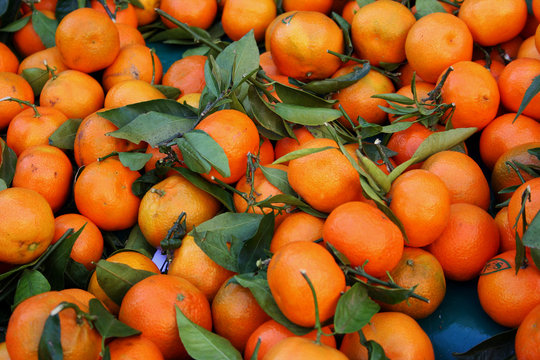 รูปภาพEtale เลือกดูภาพถ่ายสต็อก เวกเตอร์ และวิดีโอ102 Adobe Stock