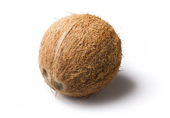 coconut isolated