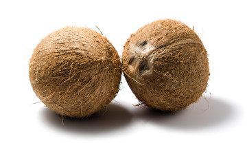 two coconuts isolated