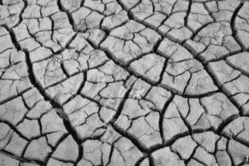 texture of shrinkage cracks BW photo