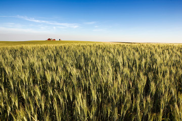 Prairie Farmland © Tyler Olson