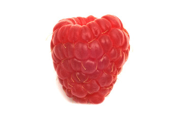 raspberry on white background