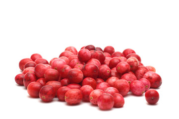 cowberry on white background