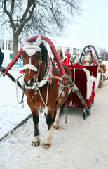 Trip in the sleighs along the streets of city Suzdal