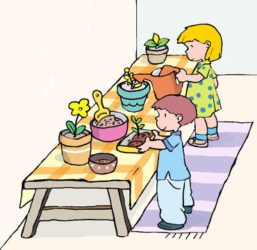 plantas