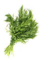 Fennel leaf
