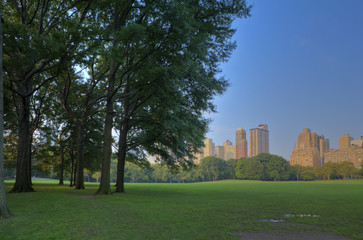 Obraz premium Central Park great lawn