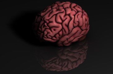 Human brain with reflection on black background