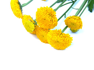coin jaune