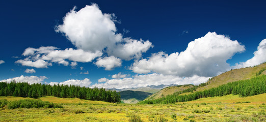 Landscape with forest and blue sky © Dmitry Pichugin