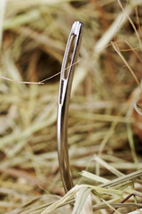 needle in a haystack