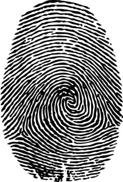 fingerprint-vector