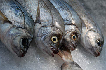 poissons frais