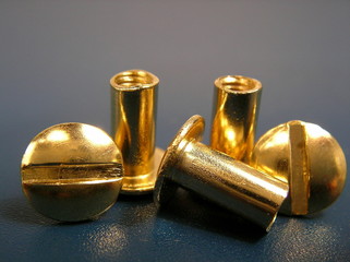 Buchschrauben
