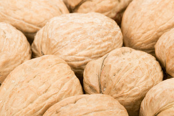 walnut background