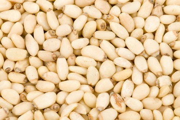 fresh pine nuts