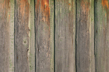 Fototapeta premium wood boards texure