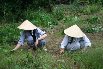Hoi Ann
