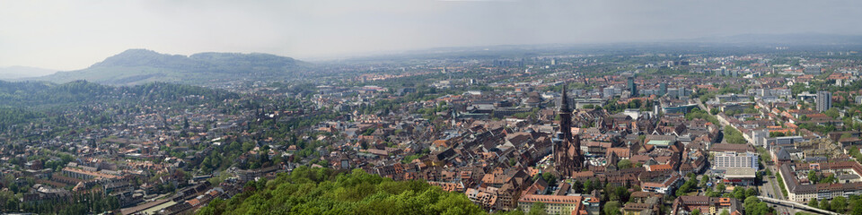 Fototapeta na wymiar Panorama v. Freiburg