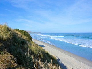 Strand bei Dunedin