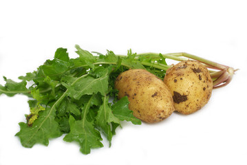 fresh patatoes & green vegetables
