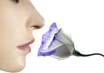 Blumenduft © Kim Schneider