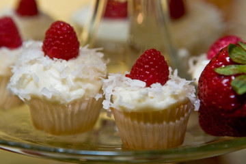 Gourmet Cupcakes