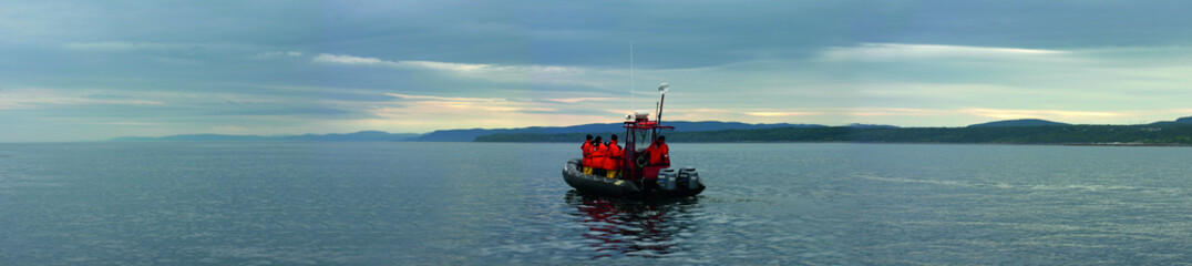 Obraz premium whale watching