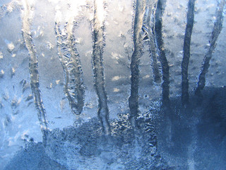 frosty natural pattern on window