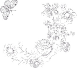 butterflies and flowers sketch