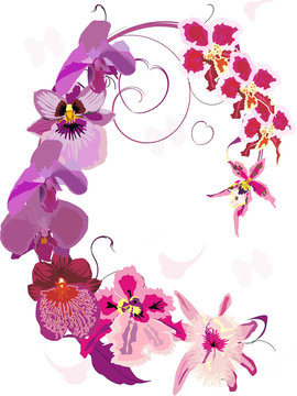 pink orchid ornament