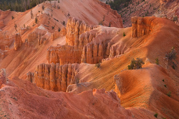Landscape Cedar Breaks National Monument