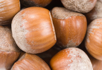 hazelnuts
