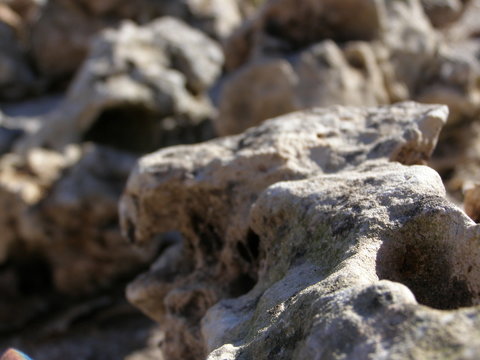 roca