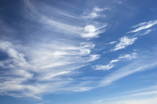 Cirrus clouds.