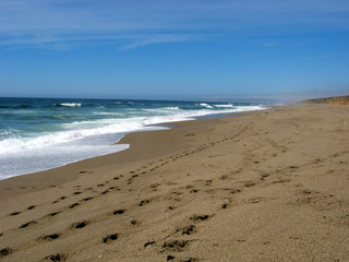 The Ocean