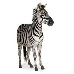 Zelfklevend Fotobehang Zebra © Eric Isselée