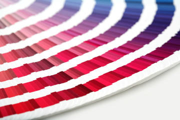 Obraz premium Color guide close-up