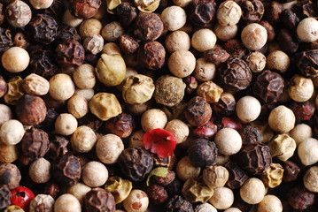 colored pepper