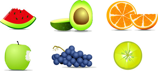 fruits illustration