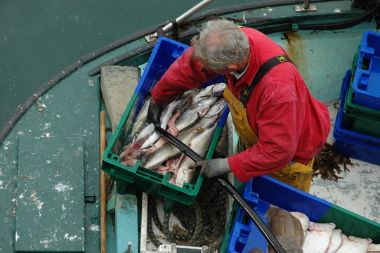 p&ecirc;cheur, retour de p&ecirc;che