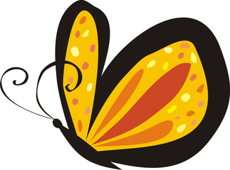 orange little butterfly