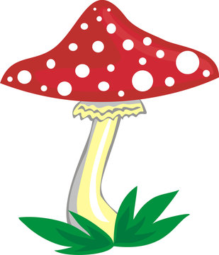 mushroom