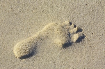 footprint