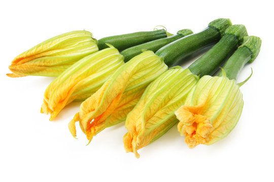 Zucchini Flowers