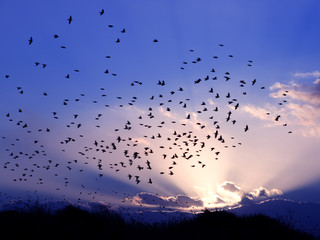 tramonto