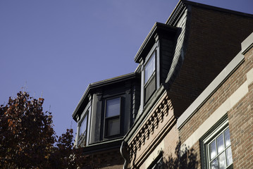 Boston neighborhood skyline