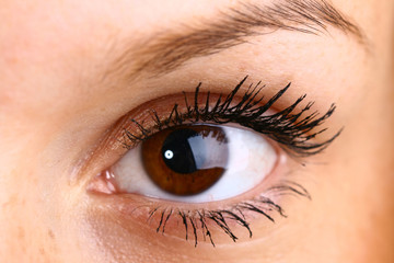 Fototapeta premium brown eye