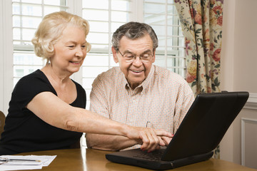 Mature couple with laptop.
